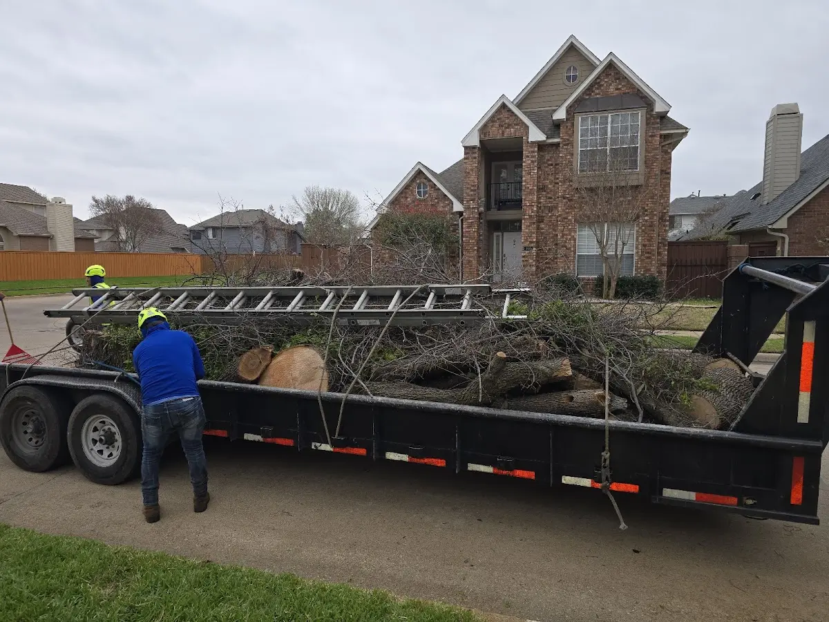 Expert Tree Fertilization with proper safety equipment in Van Buren Point